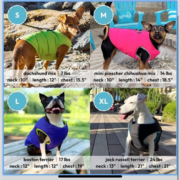 Gooby medium - Picture 8 of 8